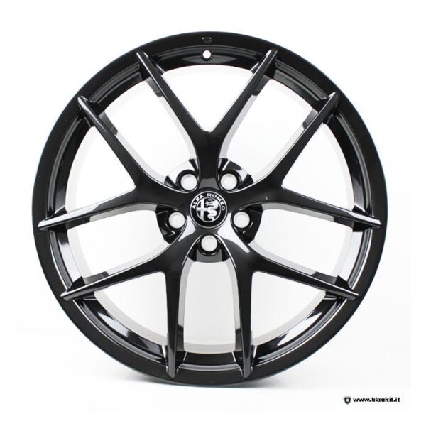 CERCHIo PER STELVIO 8,5X20" front