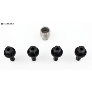 Burnished anti-theft bolts for Alfa Tonale
