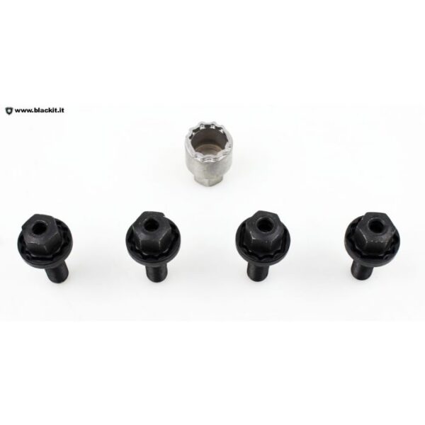 Anti-theft bolts for Alfa Tonale 50290900