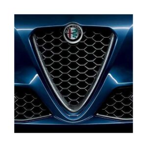 Real carbon front grille for Giulia